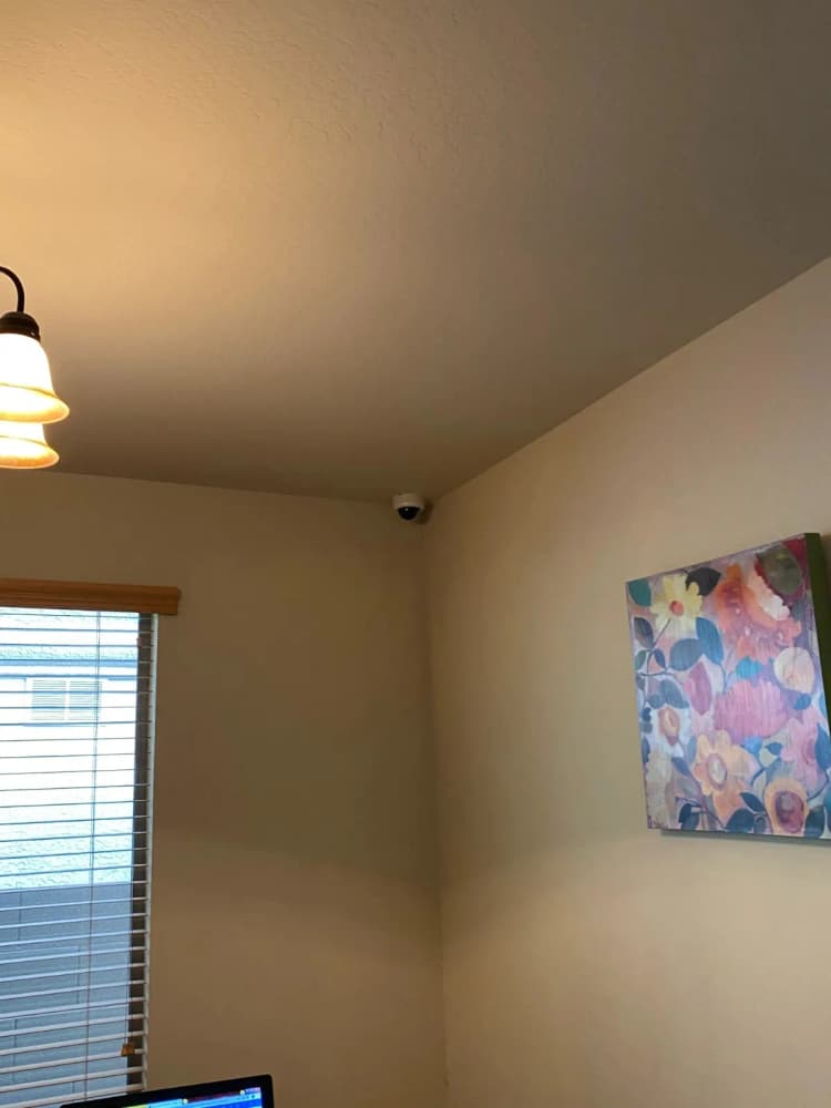 Indoor & Outdoor Cameras